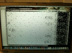 photo(1).JPG