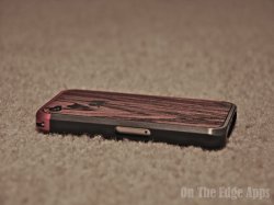 DSC_0010.JPG