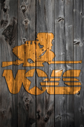vols-Bordered.png