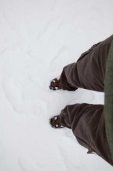 IMG_3634.jpg