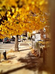 IMG_1027.jpg