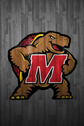 Terps2.png