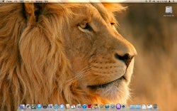 Screen Shot 2011-12-03 at 1.31.46 AM.jpg
