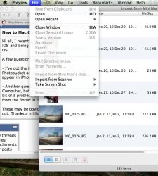 Screen Shot 2011-12-04 at Dec 4,  6.42.56 PM.jpg