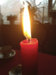 IMG_0062.jpg