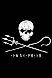 seashepherd.jpg