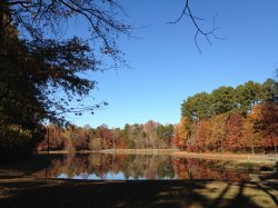 Belk Scout Camp.jpg