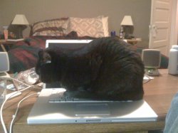 Grace Jones demands attention.jpg