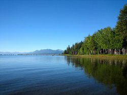 IMG_1445.jpg