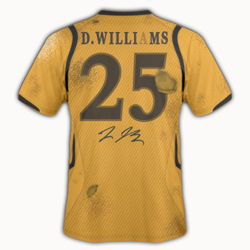 Meffs_2011_Home_Back-Matchworn.png