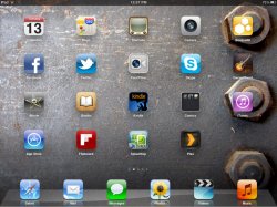 ipad home screen.jpg
