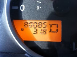 IMG_0545.jpg