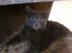 100_0009.JPG
