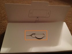 Sim Pin.JPG
