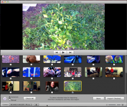 iMovie Import Interface..png