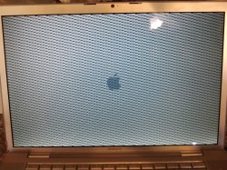 2011-12-27 12.56.45.jpg