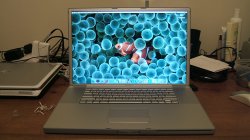 DSCF0641.JPG