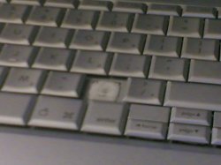 20051104.jpg