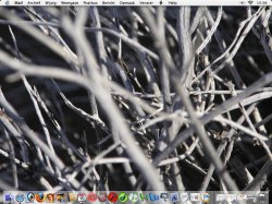 desktop.jpg