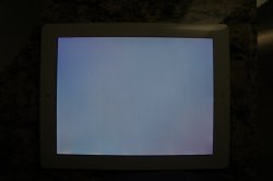 DSC00405.jpg