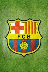 Football FC Barcelona.jpg