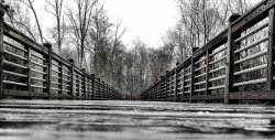 c6d1d752-1.jpg