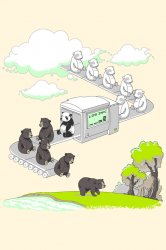 bears.jpg