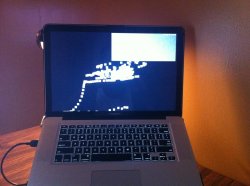 IMG_0695.jpg