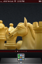 IMG_0052.PNG