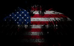 Eagle-and-US-flag.jpg