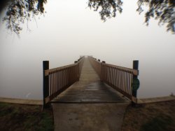 fog.JPG
