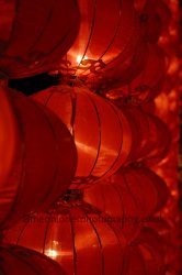 Chinese Lanterns.jpg