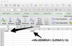Microsoft Excel-1.png