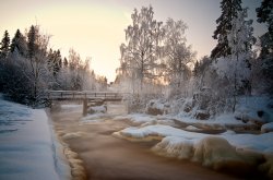 01-2012-Nikon-D7k- 37.jpg