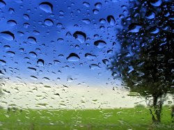 beautiful-blue-drops-grass-green-nature-nice-rain-sky-tree-water.jpg