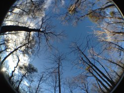 IMG_0049.JPG
