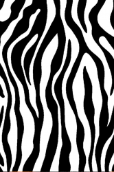 zebra-no-leather.png