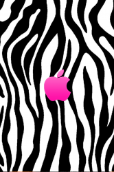 zebra-with-apple.png