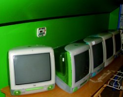 iMac G3's.JPG iMac G3's.JPG