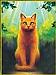12082-firestar.JPG