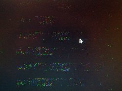 2012-02-16 19.22.26.jpg