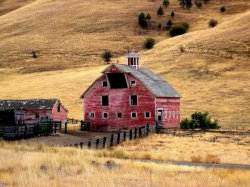 Joseph OR Barn.jpg