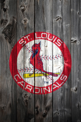 stl-redbird.png