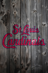 stl-script.png