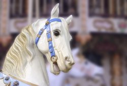 2-Merry Horse-Mike Latondresse.jpg
