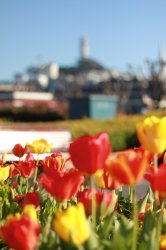 IMG_2656.jpg