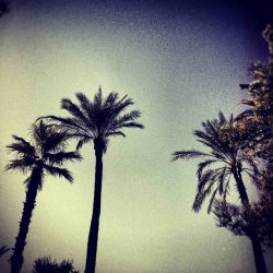 ImageUploadedByTapatalk1330467167.309885.jpg