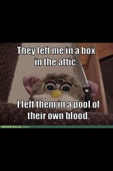 Furby.jpg