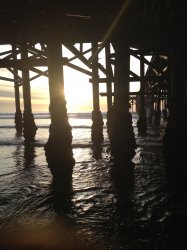 IMG_0271.jpg