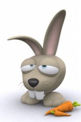 iPhone - Rabbit.jpg